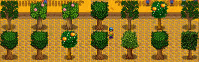 Learn how to successfully grow fruit trees in a small urban or suburban space using proper rootstock selection, espalier, and intensive space techniques. Stardew Valley Trees Guide To Grow Stardew Valley