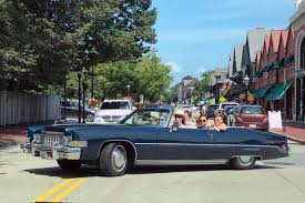 Image result for Garganey Teal 1973 Cadillac