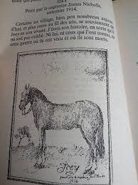 On peut reprocher à cheval de guerre, une certaine tendance à la naïveté, tel un monde où le bien triomphe toujours. Cheval De Guerre Michael Morpurgo 2004 Des 12 Ans Vivrelivre
