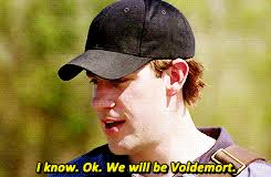 Team Voldemort and Team Gryffindor