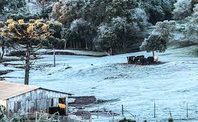 As imagens foram enviadas pelo whatsapp. Frio Chega Com Forca E Pode Provocar Geada E Neve No Centro Sul Do Pais 17 05 2018 Cotidiano Folha