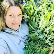 Cabbage Farm Woodville