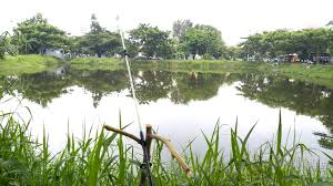 Spot Mancing Rolak Gunungsari Surabaya Full Bakso By Roikan Soekartun