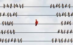 Nässjö hyresgästföreningen går till skarp attack mot malmborgs fastigheter i nässjö. Vad Skulle Fa En Superbike Hjalte Att Bega Sjalvmord Sida 2 Sporthoj Com