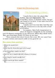 Write 10 lines about camel in english. The Dromedary Camel Esl Worksheet By Andreal15