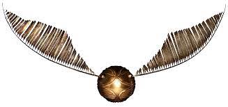 Harry potter was a very talented quidditch player so he caught in snitch in most matches he played. Golden Snitch Harry Potter Wiki Fandom