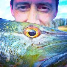 Adventures of a River Piker.