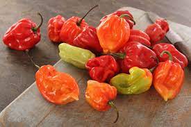 Apr 22, 2019 · instead of the jalapeno pepper, amp up the heat by using a habanero or scotch bonnet pepper. Scotch Bonnet Vs Habanero Pepperscale Showdown Pepperscale