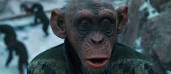 War for the planet of the apes, directed by matt reeves, is the grimmest episode so far, and also the strongest, a superb example — rare in this our ilk is in a bad way, and not only because of the fanatical, desperate militarism represented by the colonel. That Ape Isn T Wearing Deray S Vest In Planet Of The Apes