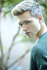 Pin By Elizabeth Altman On Cheveux Homme Men Hair Color Mens Hair Colour Cool Hairstyles