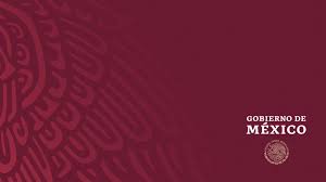 El gobierno de méxico tiene la responsabilidad de garantizar la seguridad alimentaria. Presentan Manual Basico De Identidad Del Gobierno De Lopez Obrador