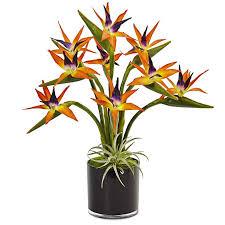 Bird Of Paradise Plant For Sale Home Depot Amazon Com Nearly Natural Bird Of Paradise Silk Arrangement In Cylinder Orange Home Ki Birds Of Paradise Flower Birds Of Paradise Plant Artificial Flowers