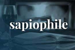 Adjective · 1'a romantic candlelit dinner'. Romance Synonyms Merriam Webster Thesaurus