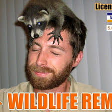 TOP 10 BEST Skunk Removal in Arlington, TX