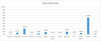 Race Ethnicity Bar Chart Description Workload And Health