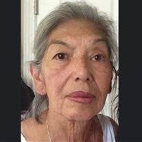 Alicia Borrego Obituary (2025)