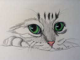 Pin By Yagmur Ozel On Katzen In 2020 Art Drawings Sketches Cat Sketch Animal Drawings