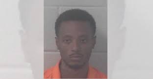 Deputies seize over $90,000 worth of drugs, $205K in cash in Georgia bust