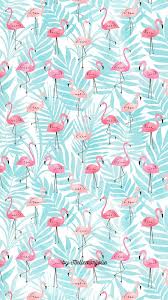 Flamantiphone6android Jpg 890 1 590 Piks Imagens De Flamingo Papeis De Parede Papel De Parede De Verao