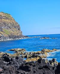 Image result for Ferraria