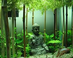 Don't worry, it's completely just like humans, betta fish develop tumors and cancer cells too. Live Aquarium Plants For Your Betta Fish Fish Care