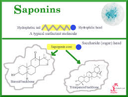 Let It Foam Saponins For Natural Cosmetics Swettis Beauty Blog