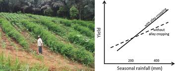 Elaborate sunlight, soil and water as basic resources for agriculture. Agroforestry Essential For Sustainable And Climate Smart Land Use Springerlink