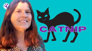 Remarkable Health Benefits of CATNIP for People