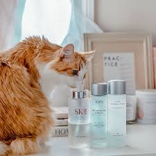 I've repurchased the SK-II Facial Treatment Essence 5+ times, here's why |  Geeky Posh