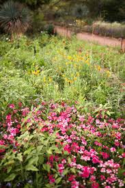 We visited the desert botanical garden in scottsdale, az and loved seeing the purple prickly pears, the blooming flowers, and the interesting sculptures. The Desert Botanical Garden Why You Should Visit Girlfriend Getaway Guide