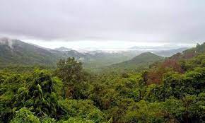 Maybe you would like to learn more about one of these? Visit 6 Incredible Rain Forests In India For An Epic Adventure In 2021