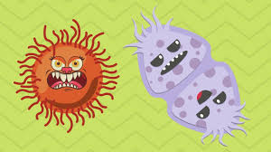 Technically there are no unicellular animals or plants , only protist but these organisms have animal or plant like cells. Unicellular And Multicellular Cells Youtube