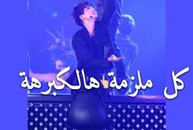 كلام عن الامتحانات مضحك ليدي بيرد