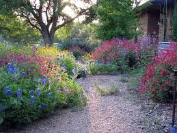 Plano Prairie Garden Prairie Garden Small Backyard Gardens Backyard Garden Layout