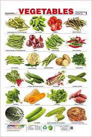 Spectrum Pre School Kids Learning Educational Poster Ve Vegetable Chart Asian Vegetables Vegetables