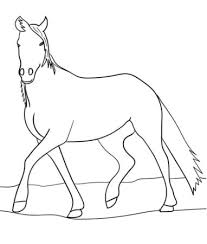 It features baja california and is part of our world landforms series! 35 Free Horse Coloring Pages Printable