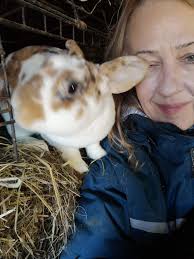 Chicken coop cleaning service in Asheville area?