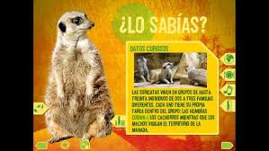 Mi primer manual para preescolar, sea un material de primaria interactiva planeación actividades situaciones didácticas. Libros Interactivos Con Bookshelf De Animal Planet