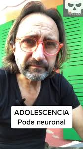 Durante la #adolescencia se produce una reducción de neuronas llamada  #podaneuronal #tormentacerebral #danielsiegel #cerebroadolescente