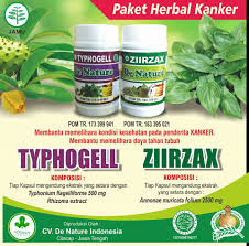 Sebuah penelitian mengungkapkan, daun keladi tikus memiliki kandungan alkaloid, triterpenoid, and lignan (polifenol). Keladi Tikus Ubat Kanser Terbukti Diakui Ujian Makmal Yang Sah