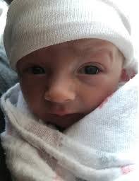 Theodore Forrest's Instagram, Twitter & Facebook