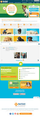 Banfield Pet S Competitors Revenue Number Of Employees Funding Acquisitions News Owler Company Profile