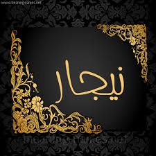 معنى اسم نيجار Nigar قاموس الأسماء و المعاني