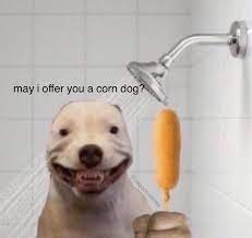 Pin By Anna On Once A Day Corn Dogs Dog Shower Dogs