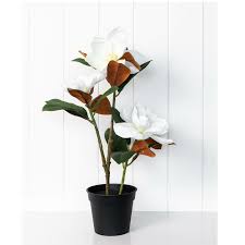 This listing is for one stem, colours may differ on display screens. Magnolia With Flowers Artificial Plant 51cm Set Of 2 White Lemon