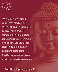 Sommerwoche am Hallwilersee: Yoga üben unter kundiger Leitung von Patrick  Tomatis in wunderbarer Umgebung über dem See.