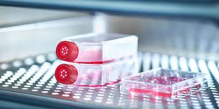 Apply to 675 research jobs and scientific positions on researchgate, the professional network for scientists. Mscs Why Optimizing Manufacturing Processes Is Key Promocell