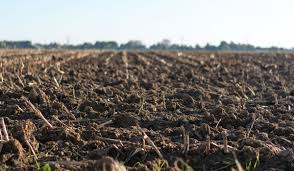 Subvenţiile pe suprafaţă in risc să fie iar amanate cauza declarările eronate de terenuri descoperite la teledetecţie economica net. Cuantum Pe Hectar Pentru 2020 Pentru Subventiile Apia Suplimentare Bovisib