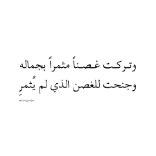 اقتباسات ل كي هاجر on instagram ديوان ابن زيدون cool words words quotes