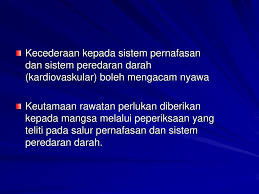 Dari sisi aturan itu adalah ilegal, tidak dipayungi oleh hukum. Bab 2 Struktur Tubuh Ppt Download